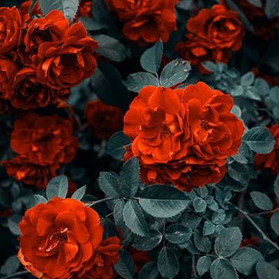 Credit Application Follow-Up: Best Practices